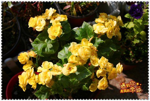 ��Ƭ 059_����.jpg