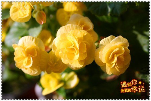 ��Ƭ 059_����1.jpg