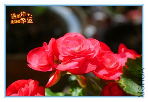 ��Ƭ 064_����.jpg