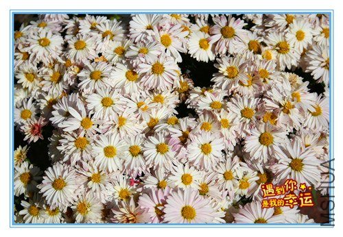 ��Ƭ 022_����.jpg