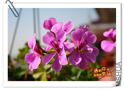 ��Ƭ 046_����.jpg