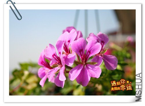 ��Ƭ 047_����.jpg