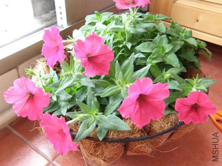 PA303736.JPG