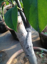 IMG_3917-----.jpg