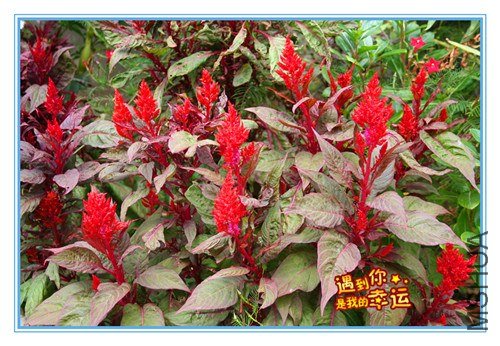 ��Ƭ 074_����.jpg