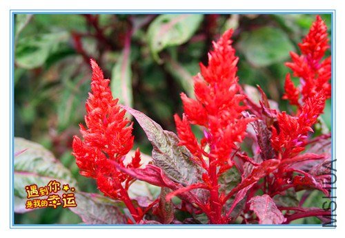 ��Ƭ 076_����.jpg