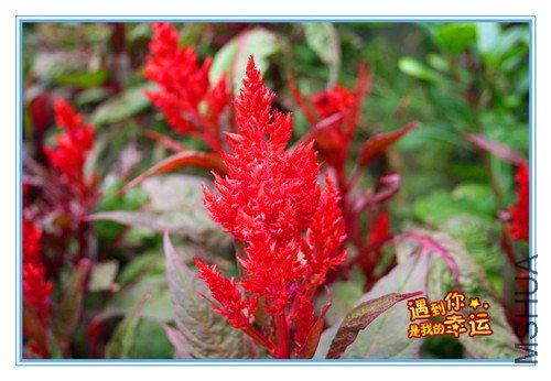 ��Ƭ 077_����.jpg