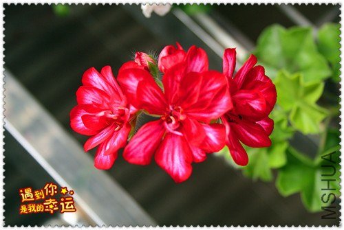 ��Ƭ 045_��ת_����.jpg