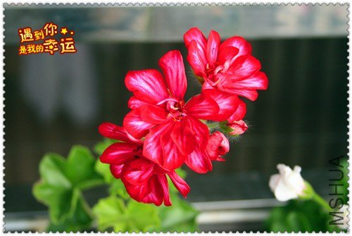 ��Ƭ 049_����.jpg