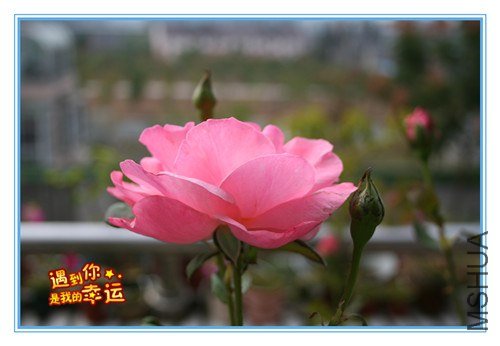 ��Ƭ 062_����.jpg