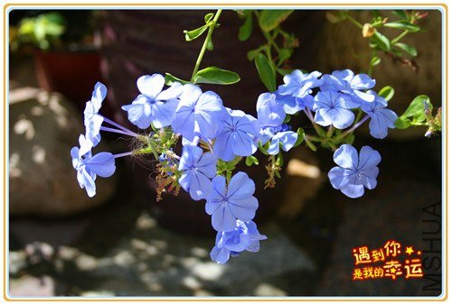 ��Ƭ 024_����.jpg