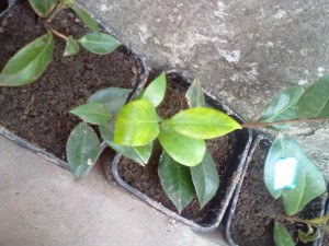 201211021386.jpg