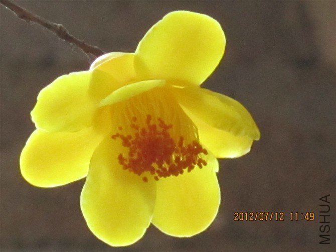 �ļ�