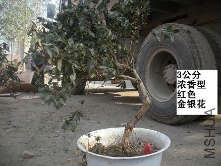 4.JPG