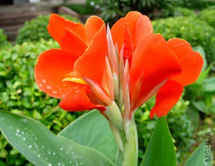 20121102212531.jpg