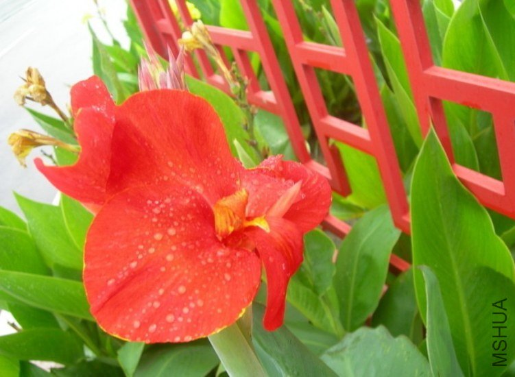 20121102212447.jpg