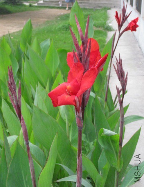 20121102212503.jpg