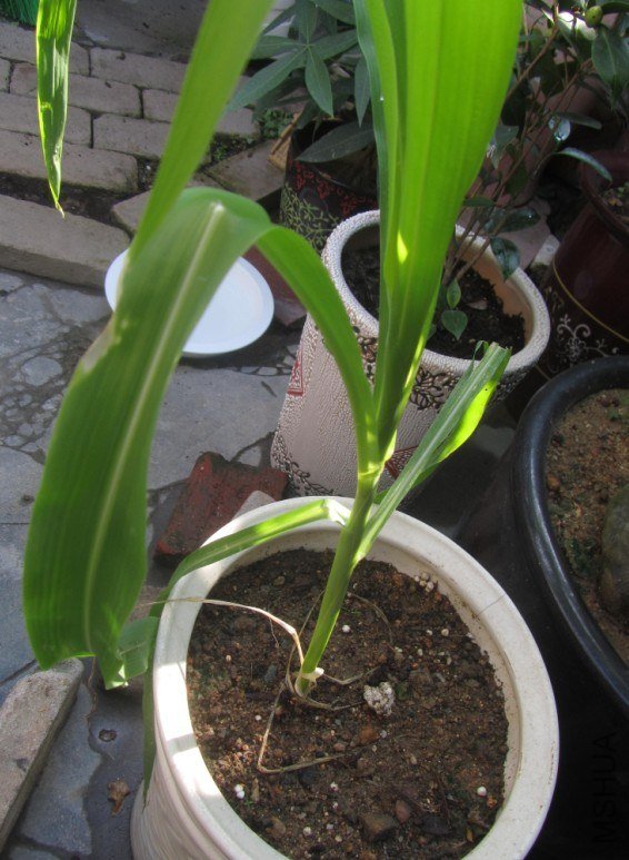 ������45�� 01.jpg