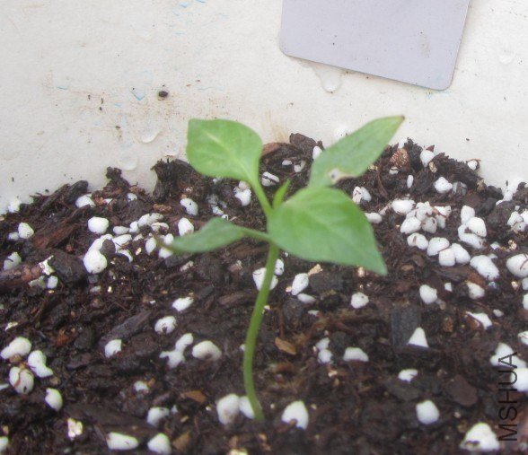 �˵ý�����ʮ���� 20121103.jpg