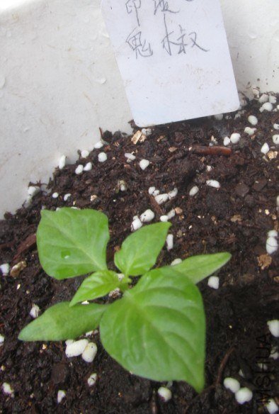 20121103���� 01.jpg