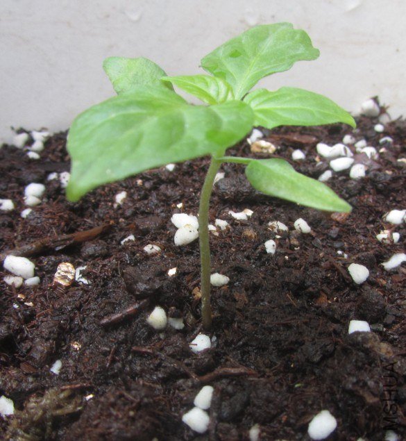 20121103���� 02.jpg