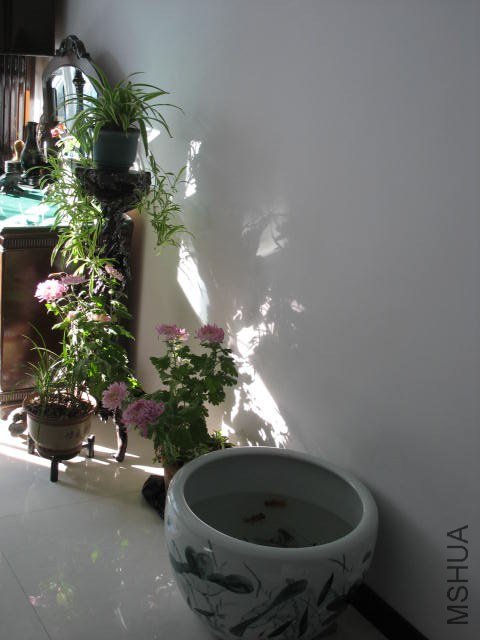 IMG_4717.JPG