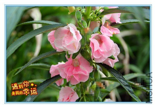 ��Ƭ 079_����.jpg