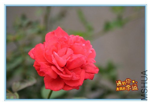 ��Ƭ 104_����.jpg