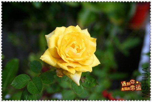 ��Ƭ 005_����.jpg