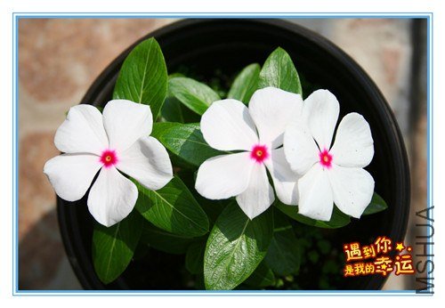 ��Ƭ 174_��ת_����.jpg