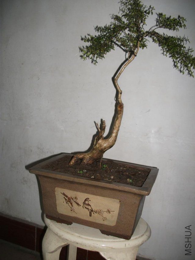 DSCF1598.JPG