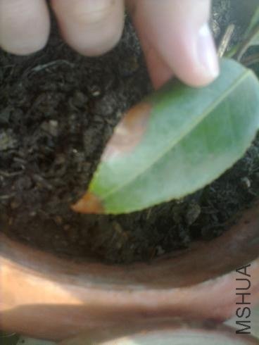 20121104554.jpg