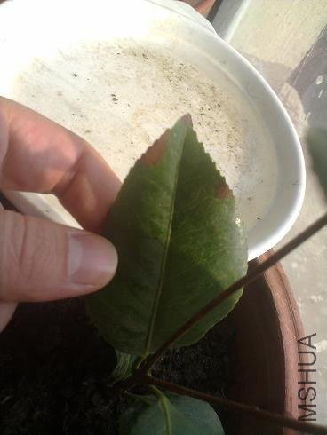 20121104555.jpg