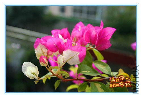 ��Ƭ 050_����.jpg