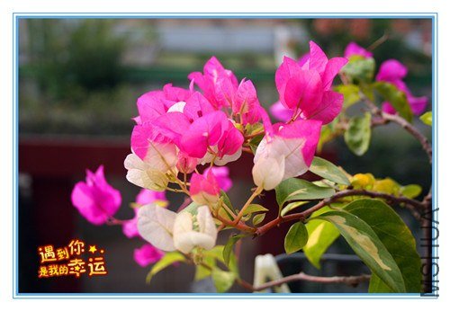 ��Ƭ 052_����.jpg