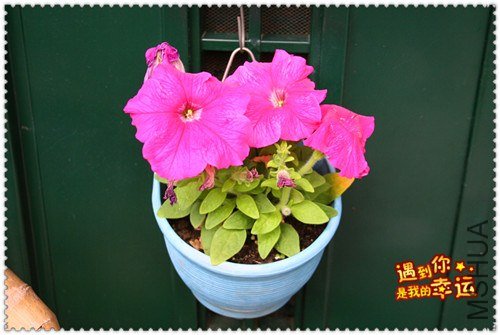 ��Ƭ 071_����.jpg