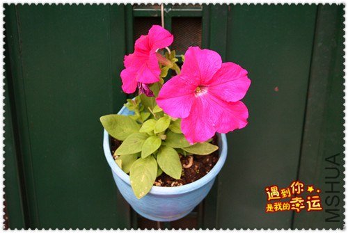 ��Ƭ 073_����.jpg