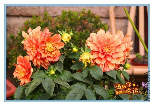 ��Ƭ 085_����.jpg