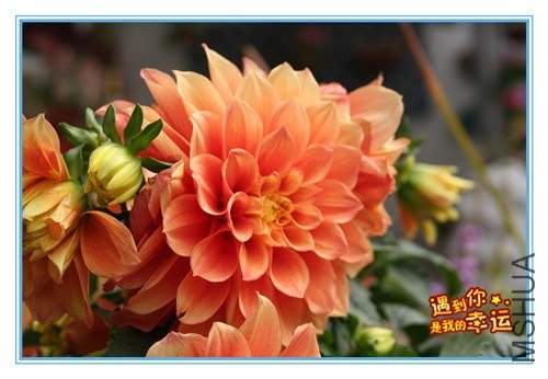 ��Ƭ 086_����.jpg