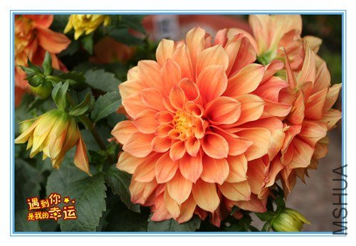 ��Ƭ 087_����.jpg