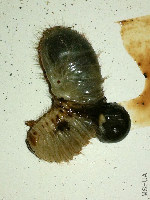 ���¡�������