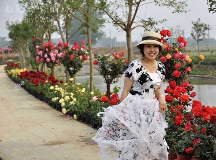 20110510_4715fb1c1cd82af553b68lQF1XA8915j.jpg