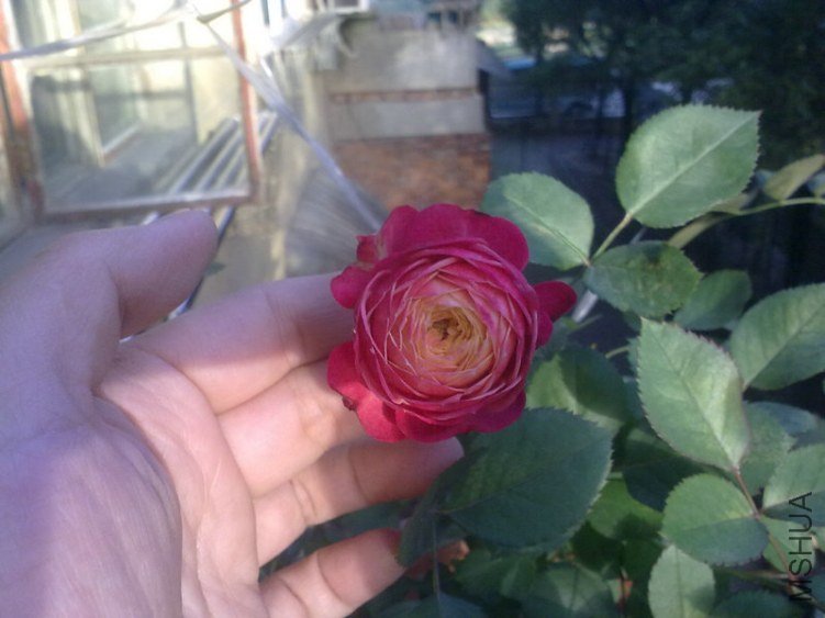20121104645.jpg