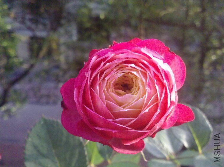 20121104648.jpg