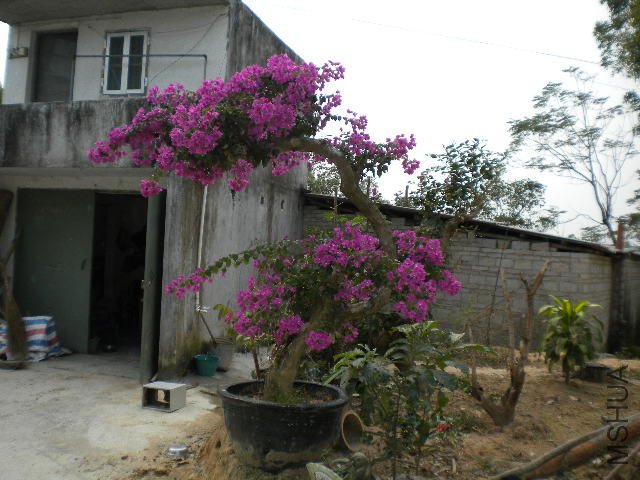 DSCN4516.JPG