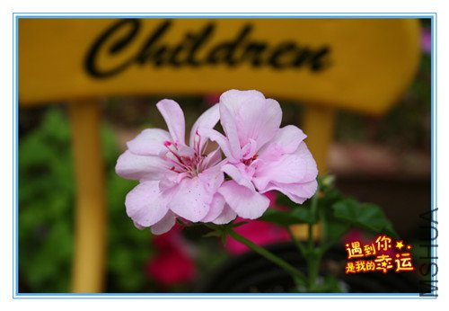 ��Ƭ 068_����.jpg