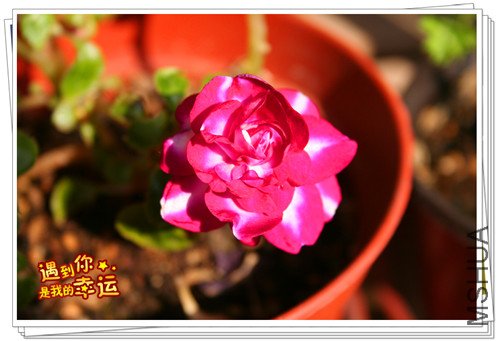 ��Ƭ 018_����.jpg