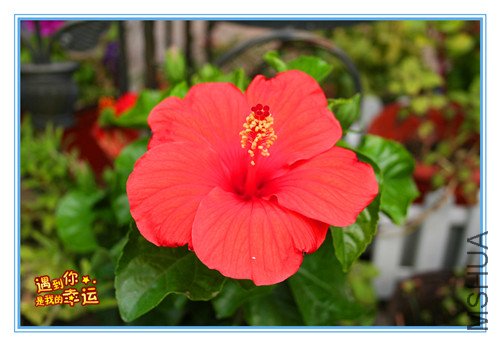 ��Ƭ 083_����.jpg