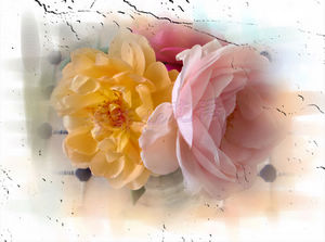 nEO_IMG_CIMG6490.3.jpg