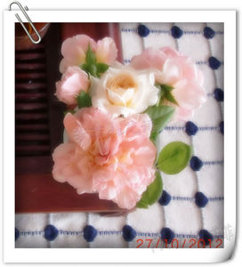nEO_IMG_CIMG6544.jpg